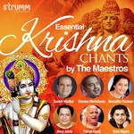 Essential Krishna Chants by the Maestros - Sanjeev Abhyankar Song Download